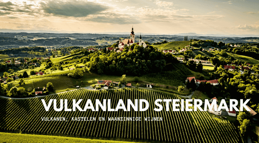 Luchtfoto van een wijngaard met zicht op een dorpje met kerk in Vulkanland Steiermark - PUUR Oostenrijk