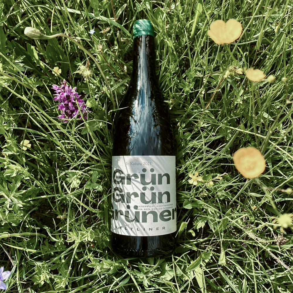 Schödl Grün Grün Grüner Veltliner - PUUR Oostenrijk