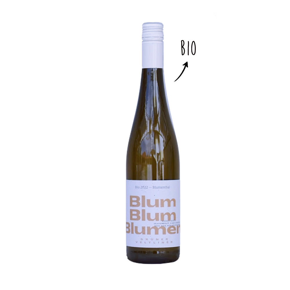 Schödl Blumenthal Grüner Veltliner