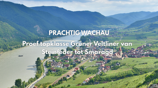 Prachtig Wachau - Proef topklasse Grüner Veltliner van Steinfeder tot Smaragd