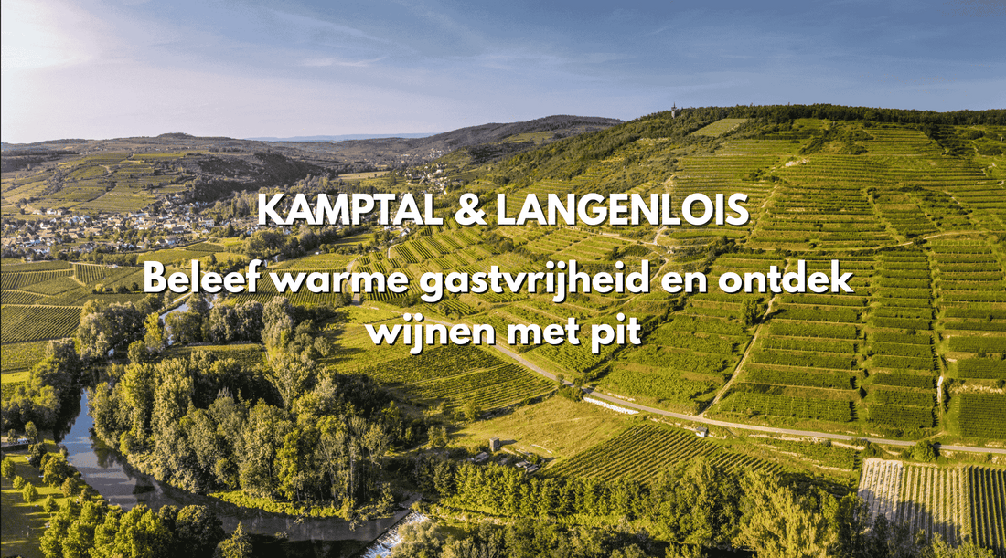Blog over Kamptal & Langenlois, wijngaarden op een heuvel met een riviertje