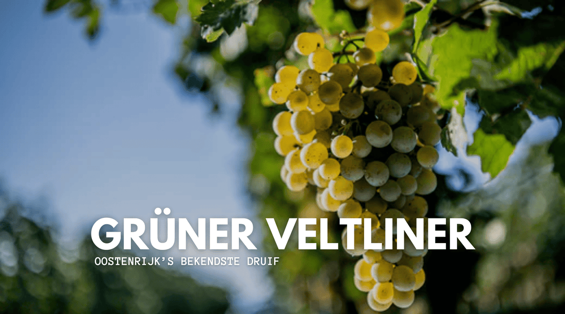 Een close up van een tros witte druiven, Grüner Veltliner - PUUR Oostenrijk