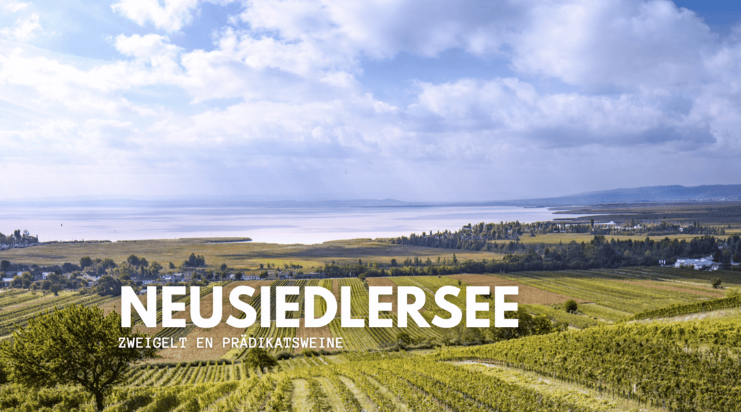 Luchtfoto van wijngaarden liggend aan het neusiedler meer - Neusiedlersee - PUUR Oostenrijk