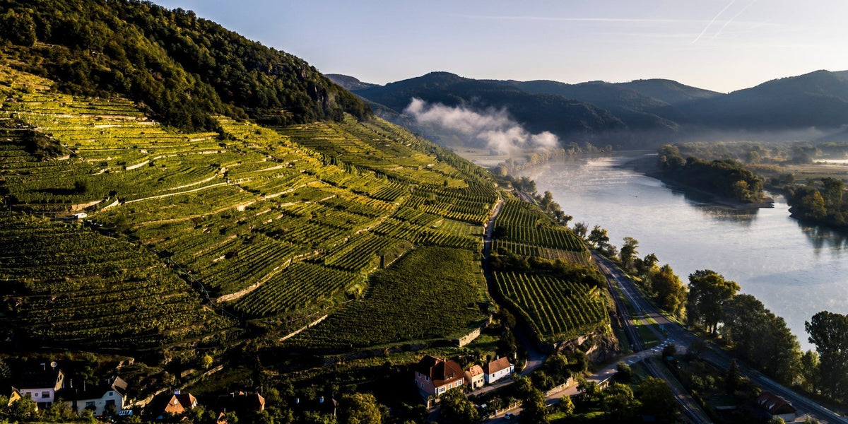 Prachtig Wachau - Proef topklasse Grüner Veltliner van Steinfeder tot Smaragd - PUUR Oostenrijk