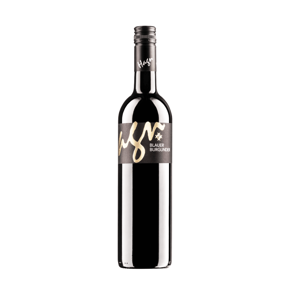 Hagn Blauer Burgunder 2022 – Soepele Pinot Noir uit Weinviertel - PUUR Oostenrijk