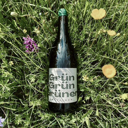 Schödl Grün Grün Grüner Veltliner - PUUR Oostenrijk